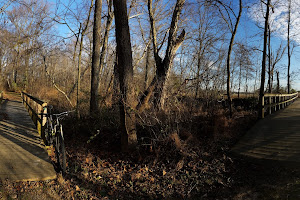 Briarwood Forest Trailhead