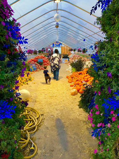 Produce Market «Kuwahara Farms», reviews and photos, 736 12300 S, Draper, UT 84020, USA