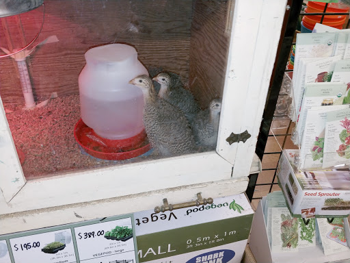 Garden Center «Chesterton Feed & Garden Center», reviews and photos, 400 Locust St, Chesterton, IN 46304, USA