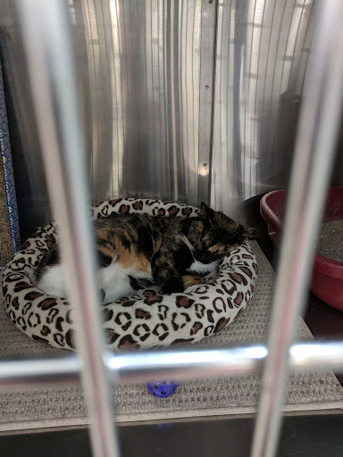 Pet Supply Store «PetSmart», reviews and photos, 1116 S Rochester Rd, Rochester Hills, MI 48307, USA