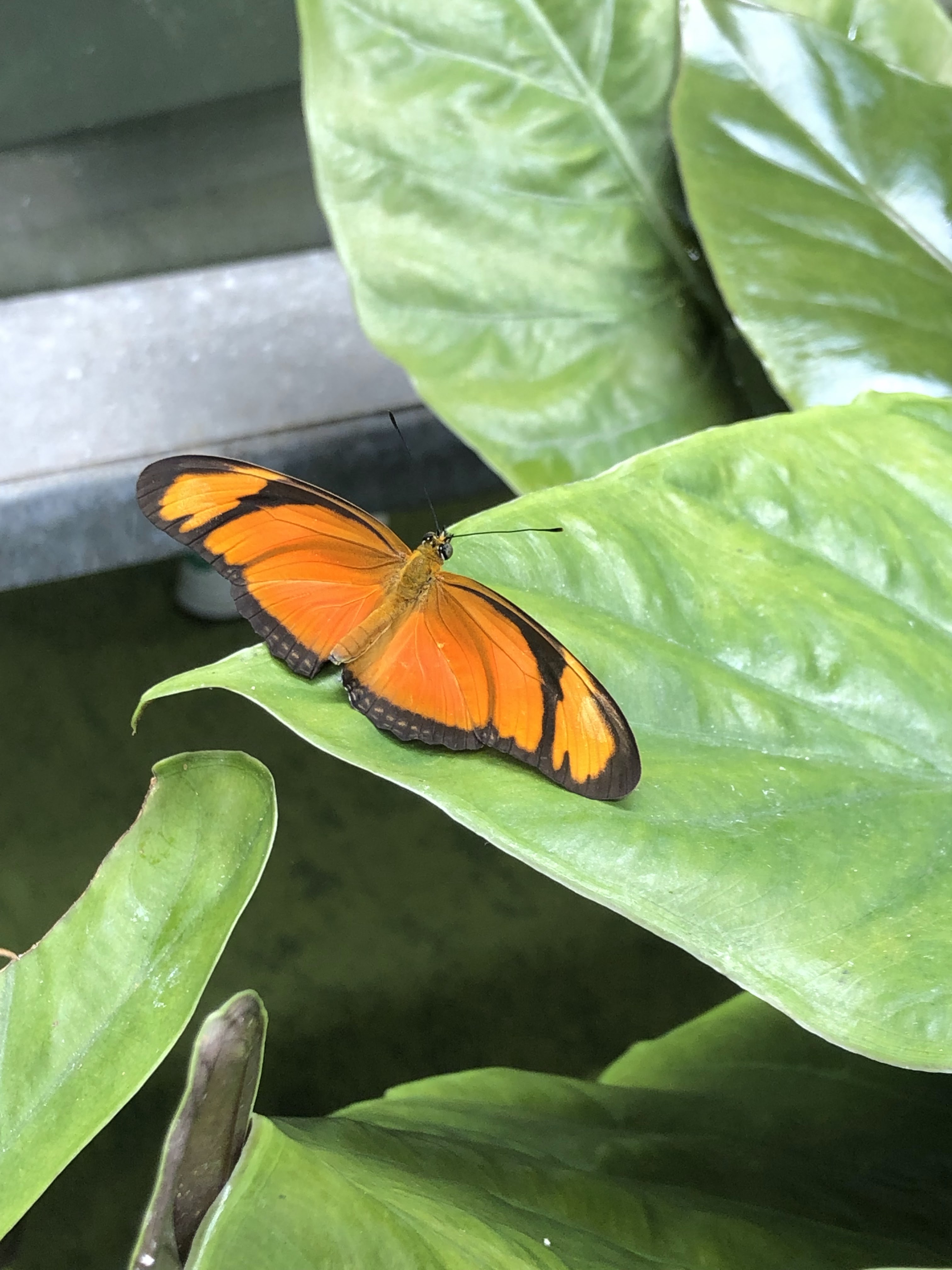 Photo n° 21 de l'avis de Nicolas.a fait le 07/06/2022 à 05:35