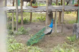 Bochamari Bird Sanctuary image