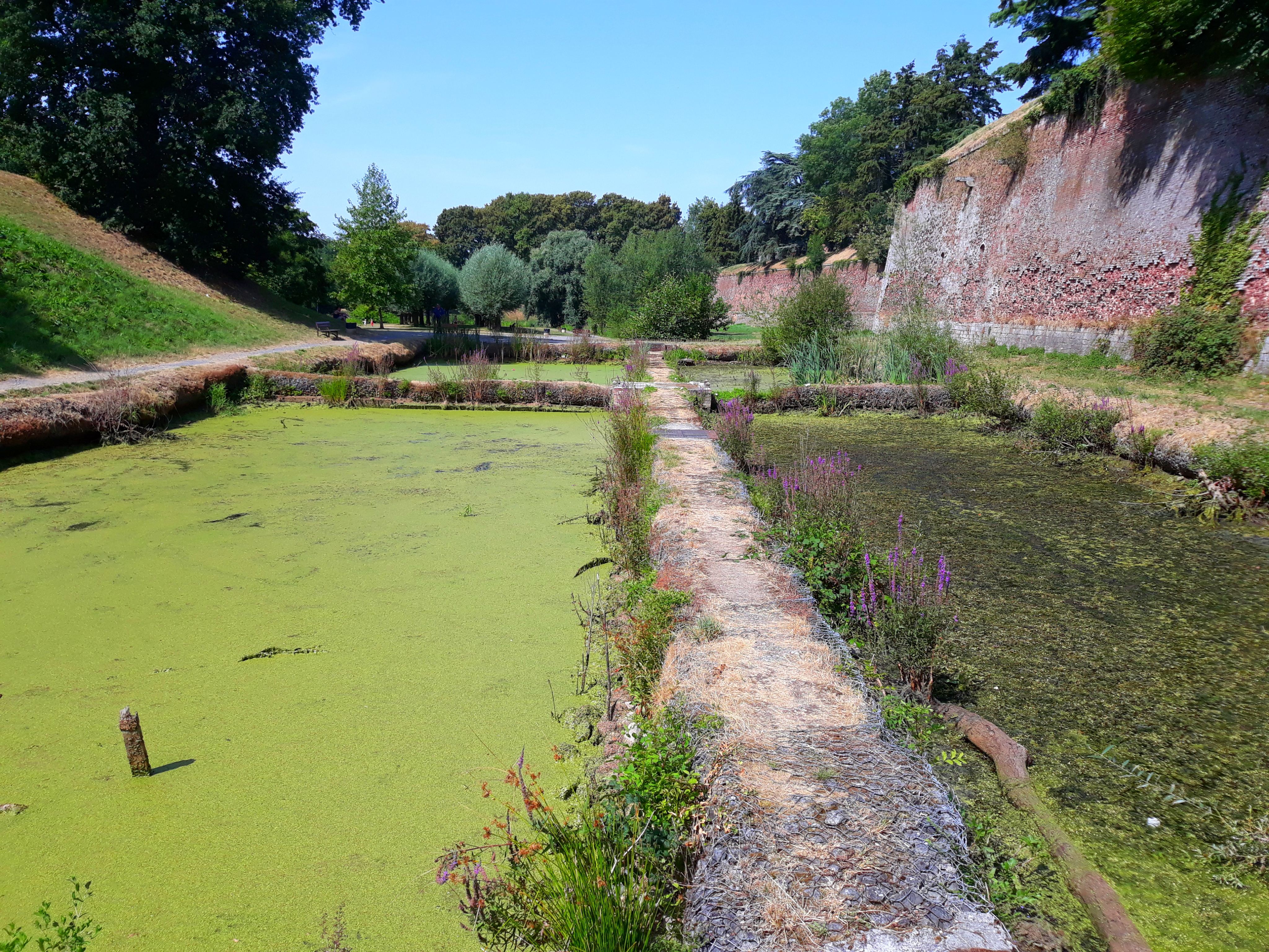 Photo n° 3 de l'avis de Ptit.o fait le 07/08/2018 à 11:33