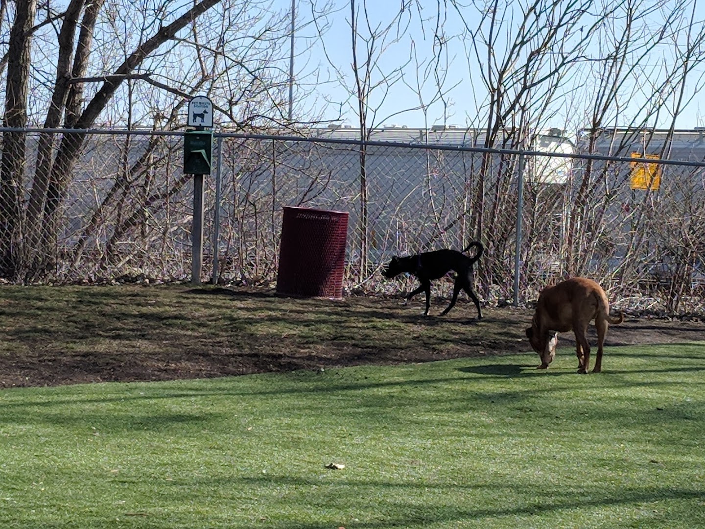 Schiller Park "Bark" Park