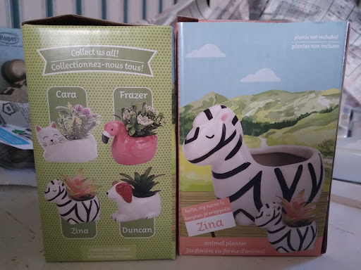 Dollar Store «Dollar Tree», reviews and photos, 971 Wayne Ave, Chambersburg, PA 17201, USA