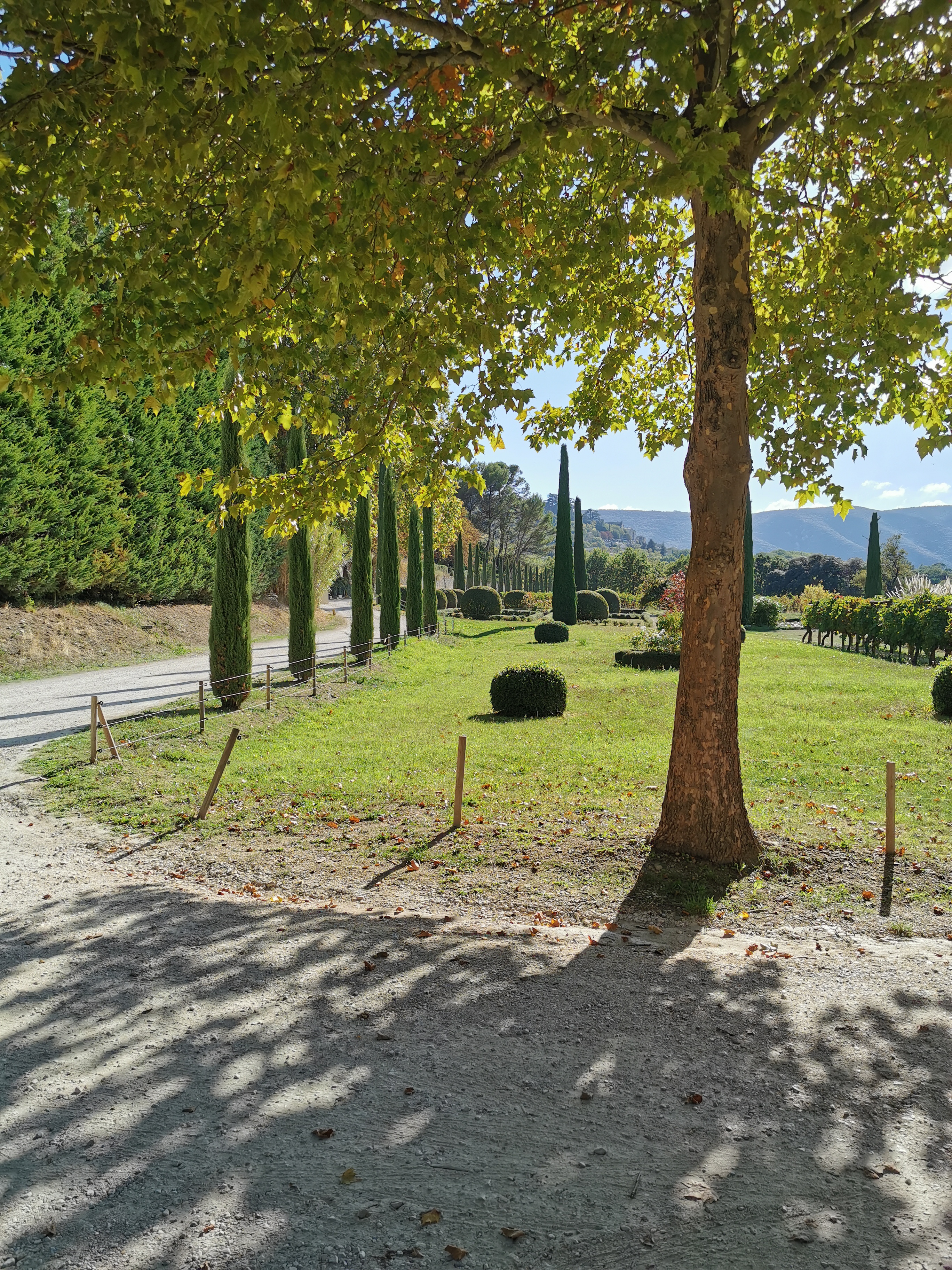 Photo n° 14 de l'avis de Ármin.� fait le 10/10/2022 à 17:40