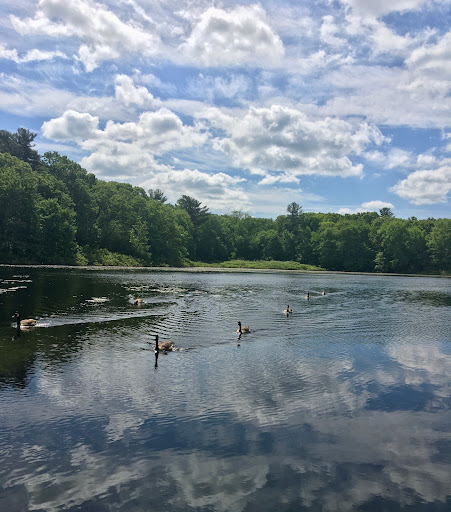 Park «Pond Meadow Park», reviews and photos, 470 Liberty St, Braintree, MA 02184, USA