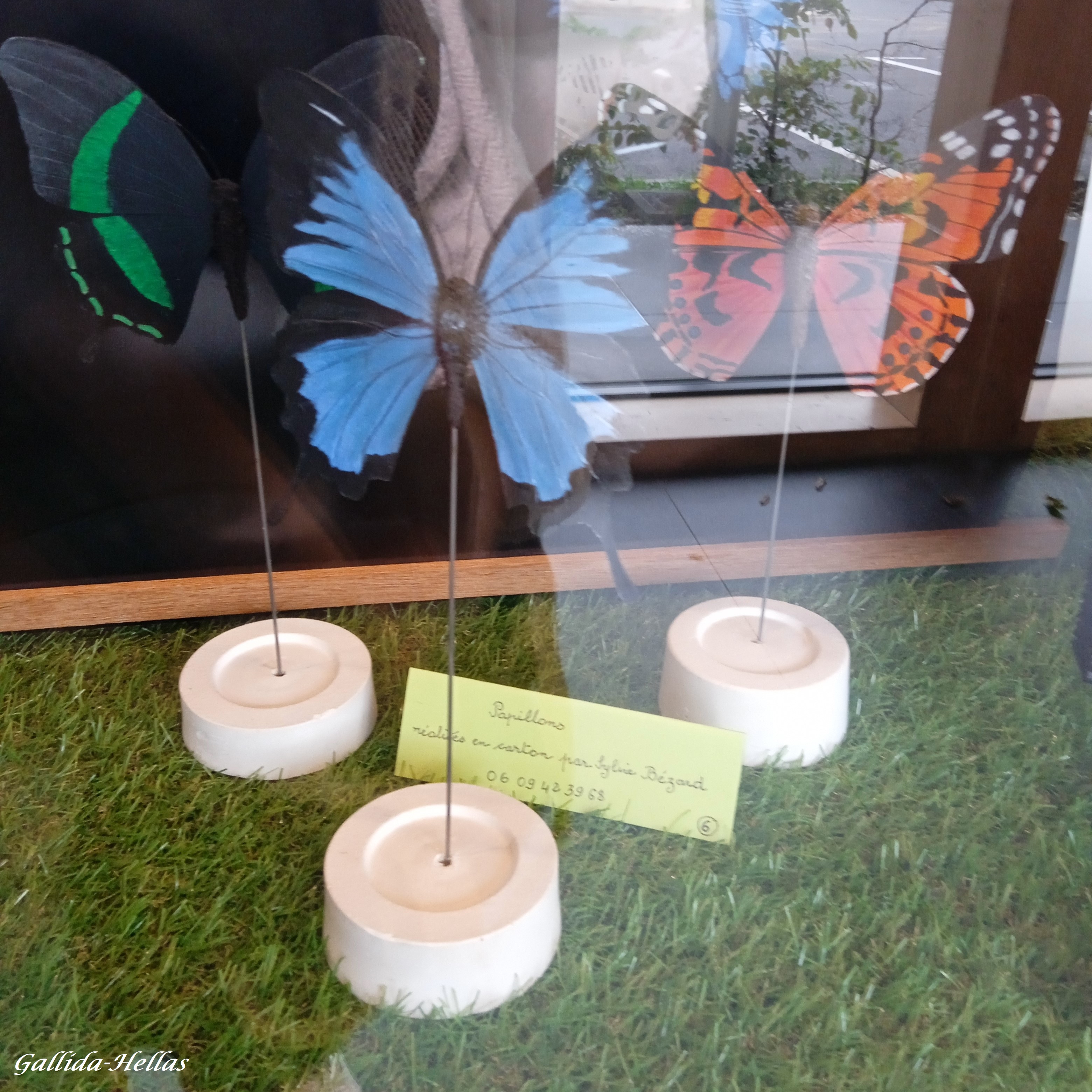 Photo n° 13 de l'avis de Gallida-Hellas. fait le 27/09/2023 à 03:43