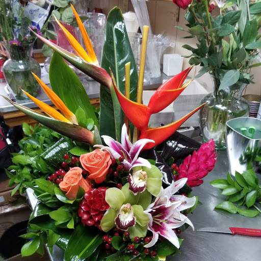 Florist «Abbott Florist», reviews and photos, 1008 71st St, Miami Beach, FL 33141, USA