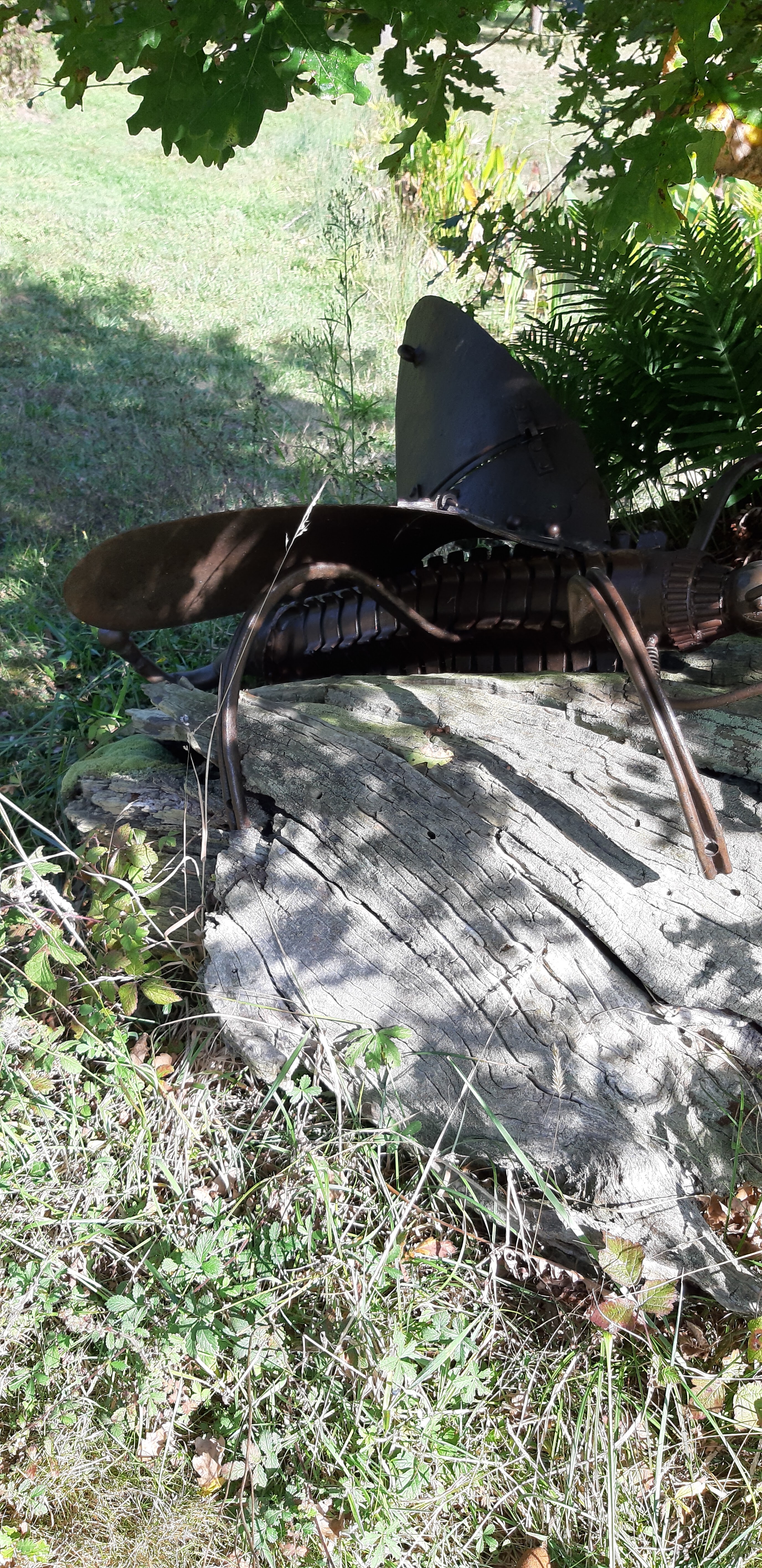 Photo n° 34 de l'avis de denis.o fait le 01/10/2019 à 12:55
