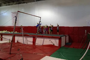 Tulilov Gymnastics Training image