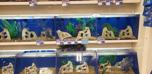 Pet Supply Store «PetSmart», reviews and photos, 7177 SE 29th St, Midwest City, OK 73110, USA