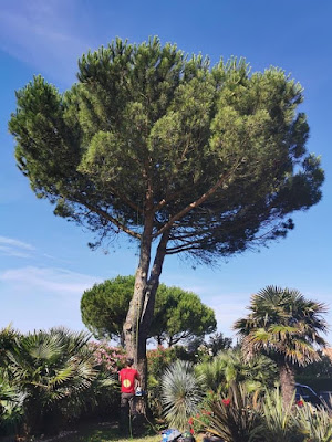Brin de Paysage à Agris
