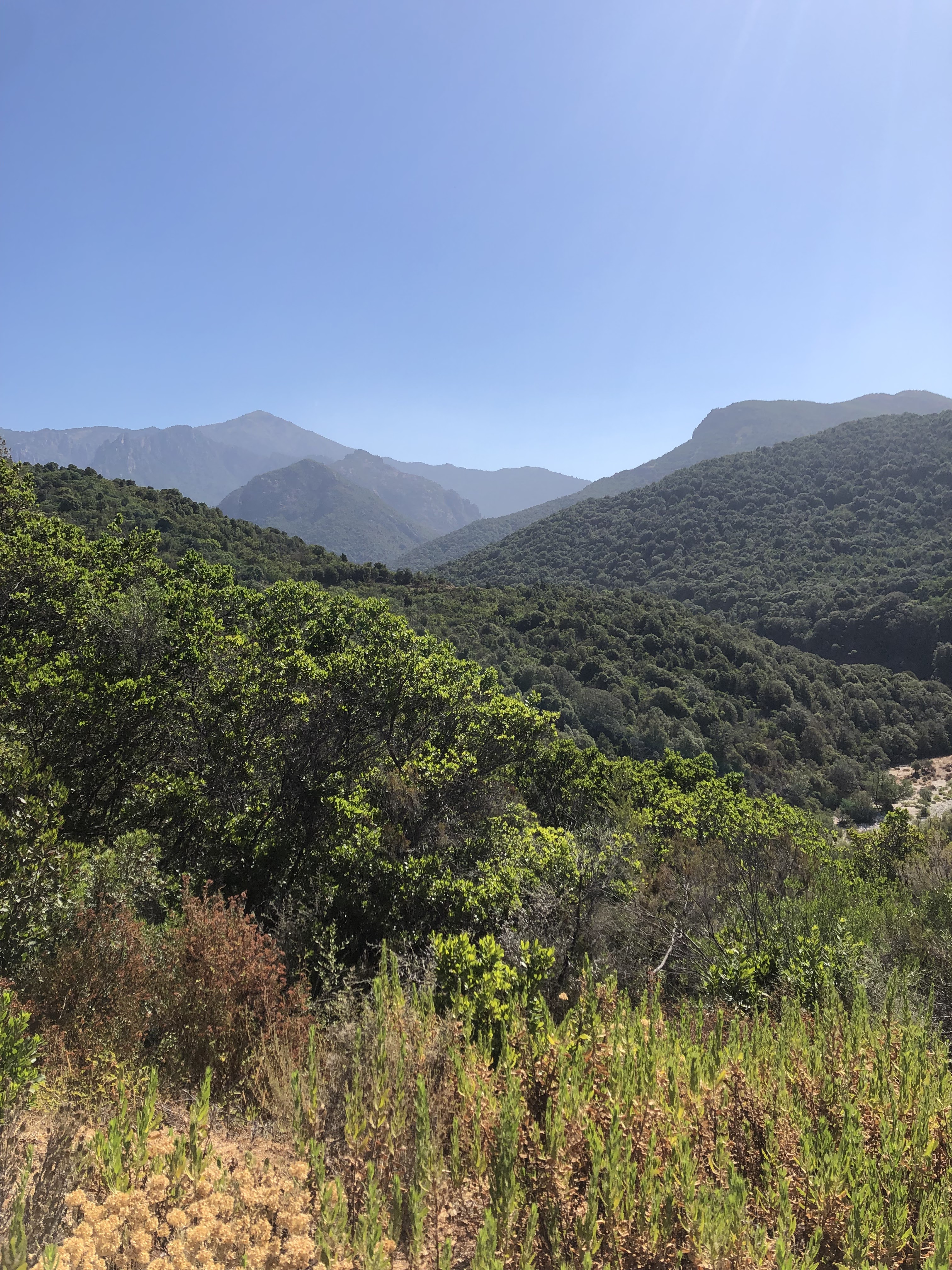 Photo n° 2 de l'avis de Al.v fait le 02/08/2023 à 16:29