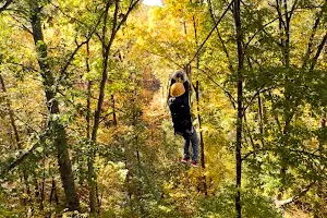 Zipline Canopy Tours of Blue Ridge image