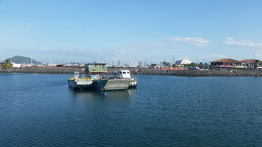 Barcos Calypso