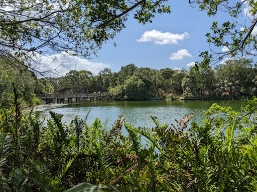 Park «Wall Springs Park», reviews and photos, 3725 Desoto Blvd, Palm Harbor, FL 34683, USA