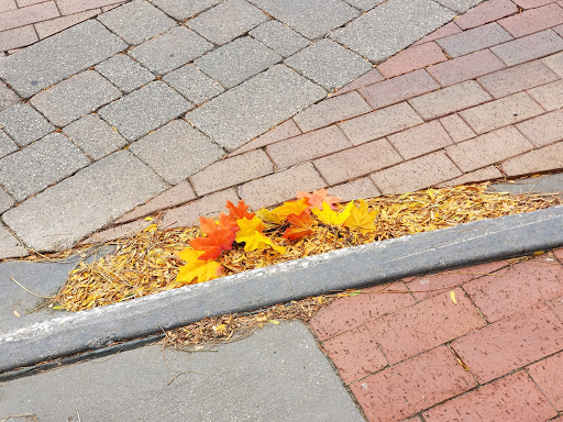 Coffee Shop «The Next Chapter Book Store & Bistro», reviews and photos, 141 E Main St, Northville, MI 48167, USA