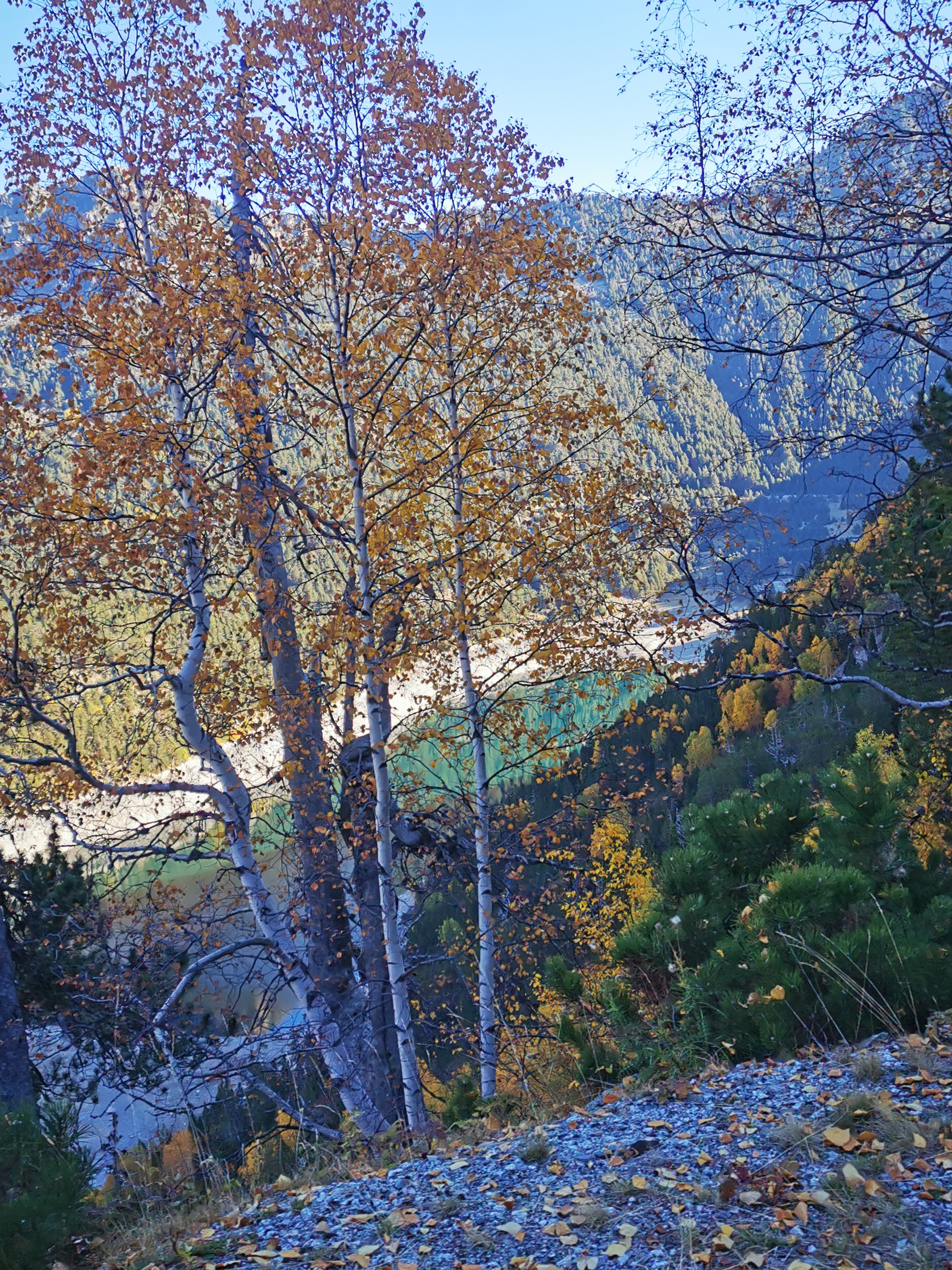 Photo n° 4 de l'avis de viorel.i fait le 17/10/2021 à 08:44
