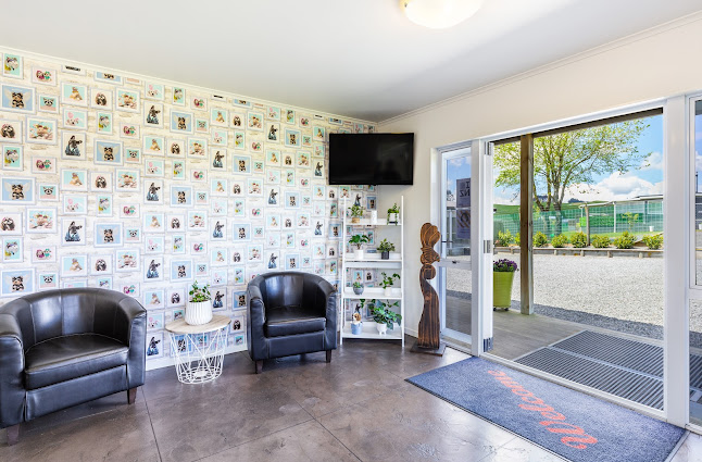 Comments and reviews of Taupo Pet Lodge V.I.P Dog Accommodation
