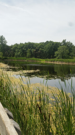 Nature Preserve «Greenbelt Forest Preserve», reviews and photos, 1110 S Green Bay Rd, North Chicago, IL 60035, USA