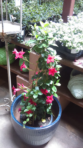 Hardware Store «Orchard Supply Hardware», reviews and photos, 155 Crescent Plaza, Pleasant Hill, CA 94523, USA