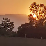 Photo n°4 de l'avis de Stefania.e fait le 19/08/2021 à 00:11 sur le  Chiosco Le Saline dune di Capocomino. à Capo Comino