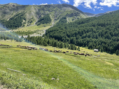 Randos Quad Les Orres à Les Orres