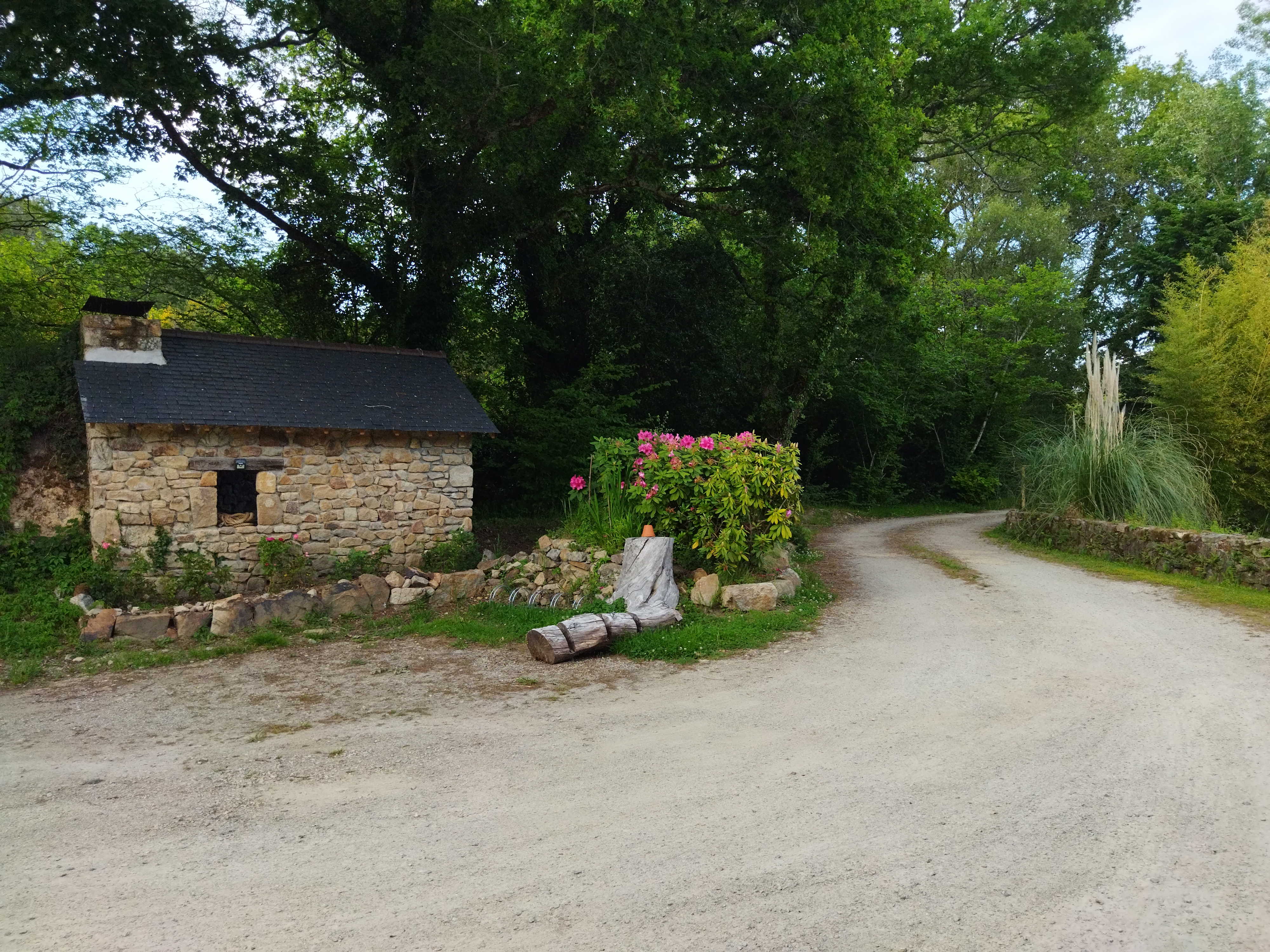 Photo n° 7 de l'avis de Nana.S fait le 30/05/2021 à 19:56