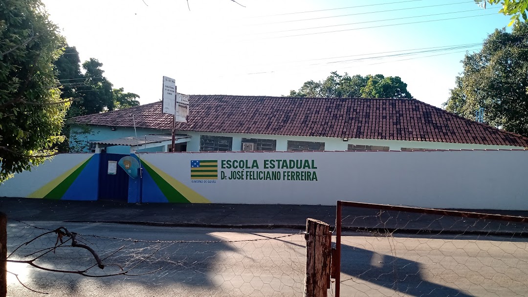 Escola Estadual Dr José Feliciano Ferreira