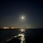 Photo n°2 de l'avis de Gerold.o fait le 05/09/2019 à 17:38 sur le  Hotel Venezia - Marina di Pietrasanta à Marina di Pietrasanta