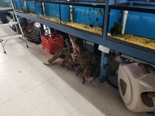 Pet Store «Aqua World Pet Super Center», reviews and photos, 8143 Ohio River Blvd, Pittsburgh, PA 15202, USA
