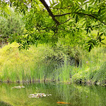 Photo n° 3 de l'avis de Monpoussin. fait le 23/06/2022 à 16:35 pour Domaine de Chaumont-sur-Loire à Chaumont-sur-Loire