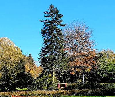 Les Moineaux à Hauteville-la-Guichard
