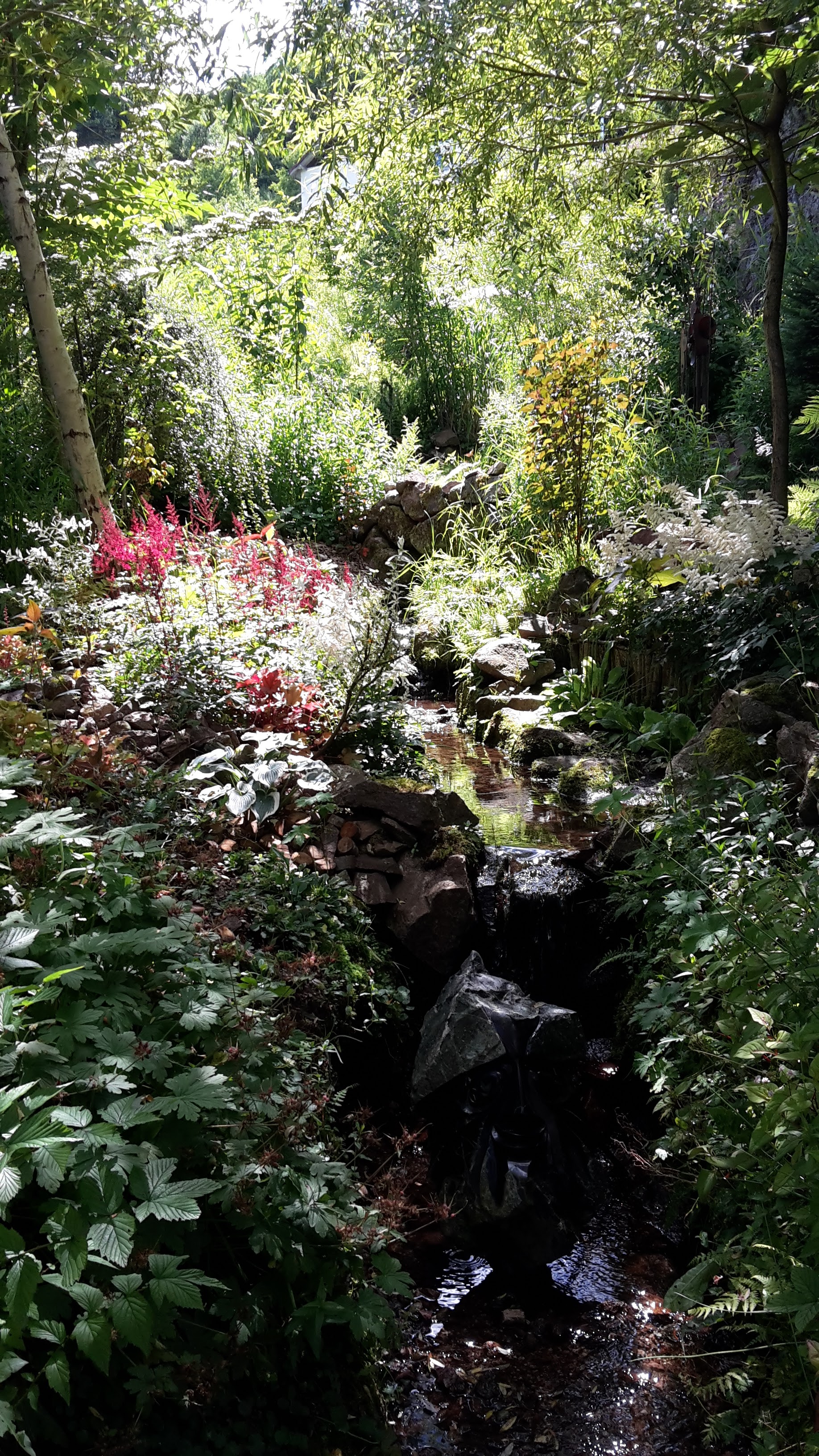 Photo n° 1 de l'avis de Florine.l fait le 29/07/2018 à 12:14