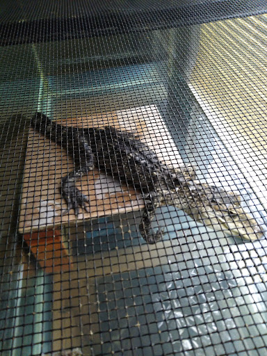 Pet Supply Store «Pet Supplies Plus», reviews and photos, 2202 S Bend Ave Suite 1, South Bend, IN 46635, USA