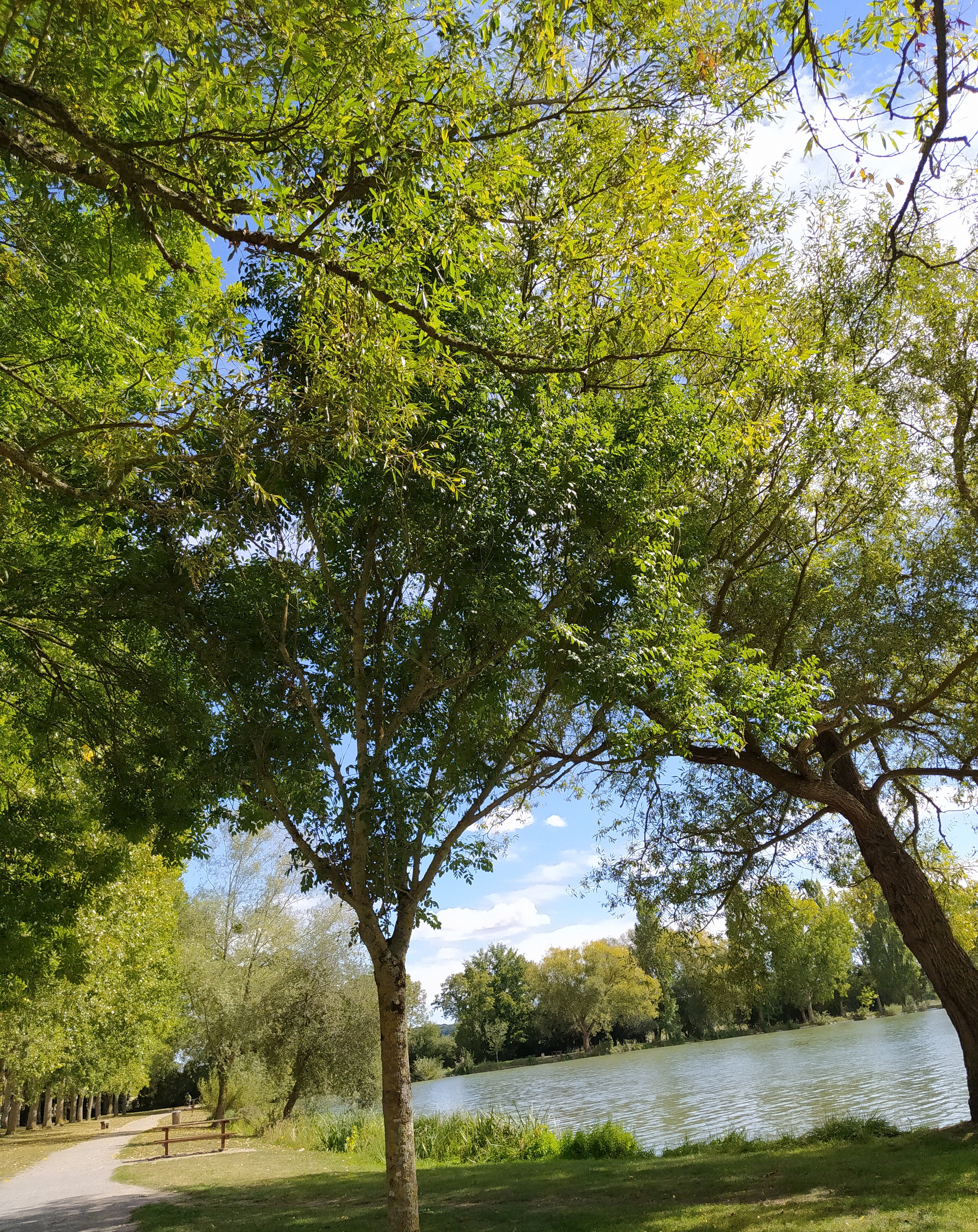 Photo n° 1 de l'avis de jackie.a fait le 10/09/2020 à 13:01