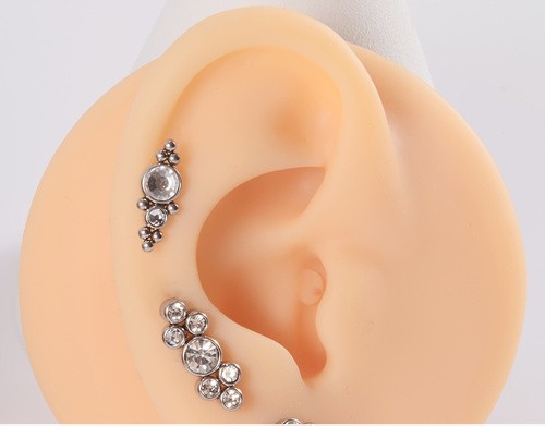 Explore tattoo ideas of lions, creative tattoo ideas in Green Bay, available at Colourbox Body Piercing Llc