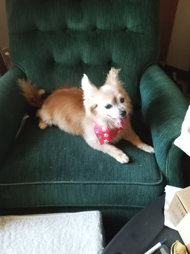 Pet Supply Store «Petco Animal Supplies», reviews and photos, 8551 S Howell Ave, Oak Creek, WI 53154, USA