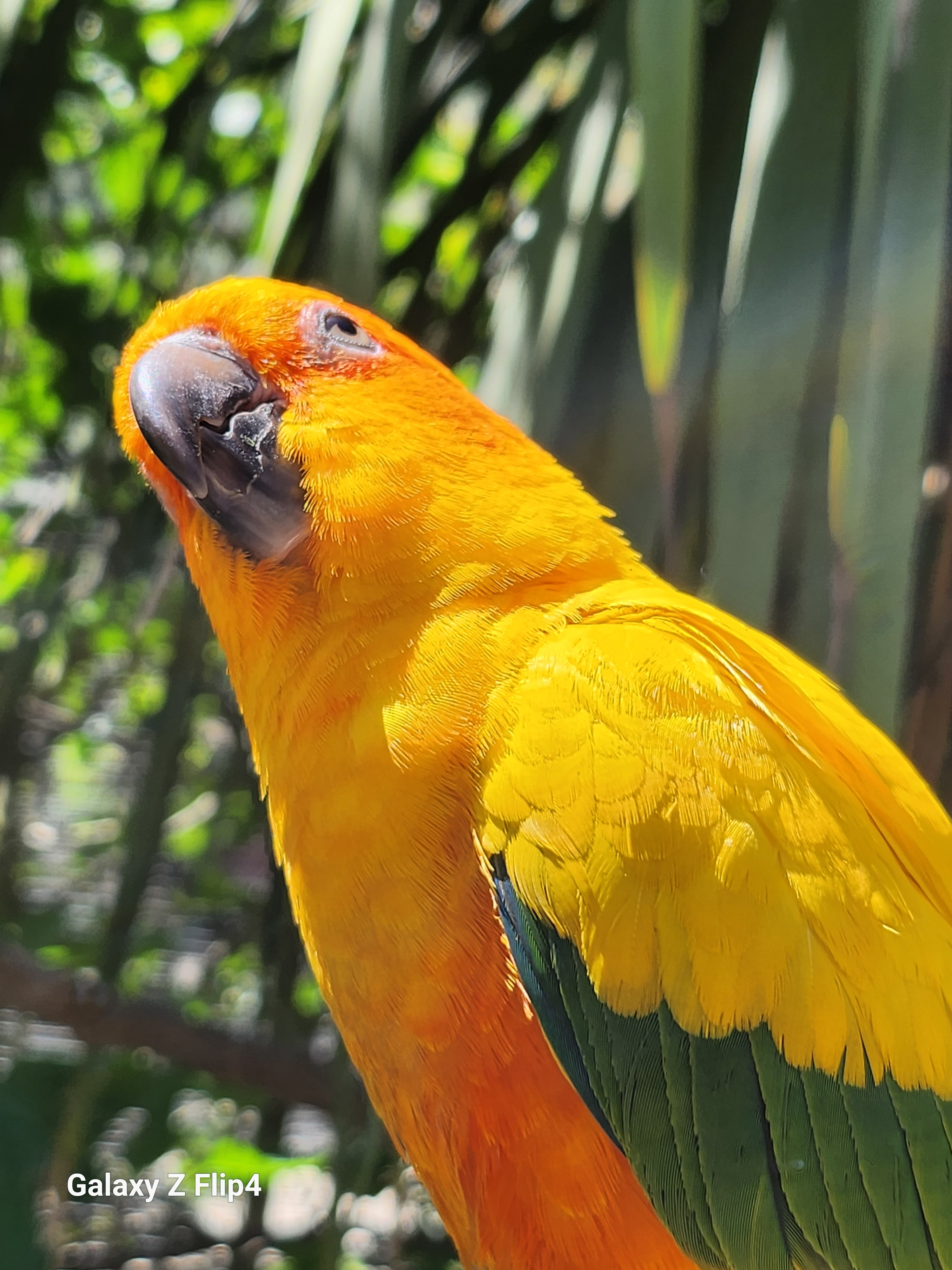 Photo n° 3 de l'avis de pascal.h fait le 02/05/2023 à 19:13