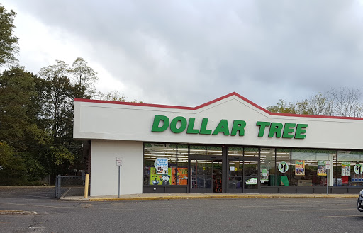 Dollar Store «Dollar Tree», reviews and photos, 3172 Middle Country Rd, Lake Grove, NY 11755, USA