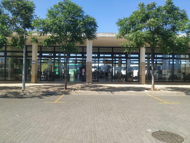 Terminal Rodoviário de Albufeira - Serviço de transporte
