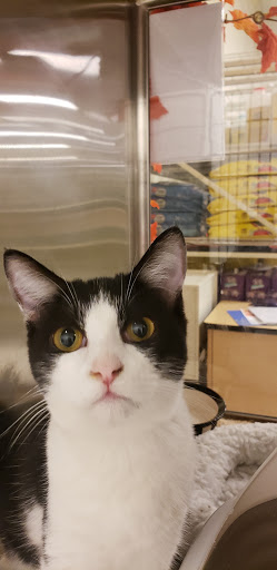 Pet Supply Store «PetSmart», reviews and photos, 2477 Naglee Rd, Tracy, CA 95304, USA