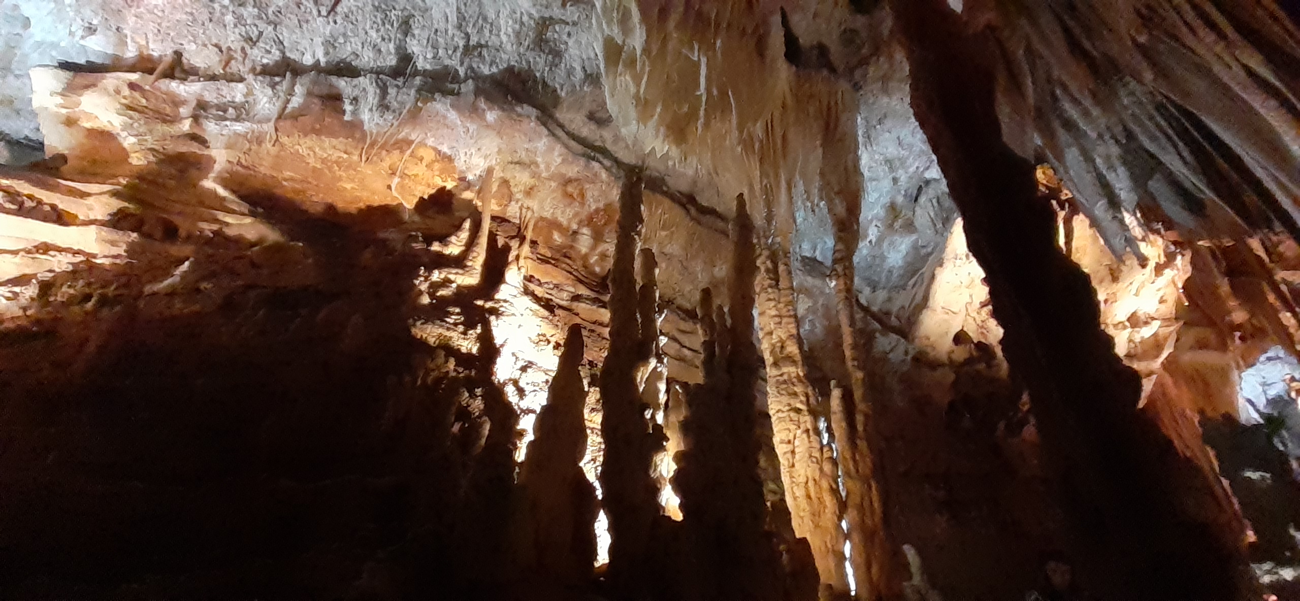 Photo n° 1 de l'avis de Jennifer.r fait le 18/08/2022 à 15:19