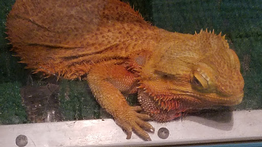 Aquarium «Aquarium Tarpon Springs», reviews and photos, 850 Dodecanese Blvd, Tarpon Springs, FL 34689, USA