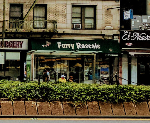Furry Rascals, 3915 Broadway, New York, NY 10032, USA, 
