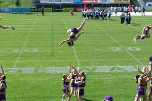 AFC Dacia Vienna Vikings