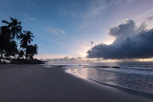 Praia dos Carneiros Tamandaré Pernambuco image