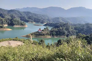 Doyang Dam image
