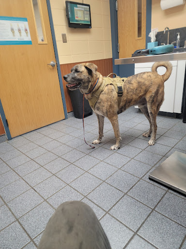 Prairie Creek Veterinary Hospital